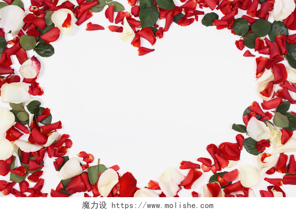白色背景上用花瓣围成的爱心图案花瓣的心